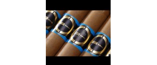 Escobar Connecticut Toro