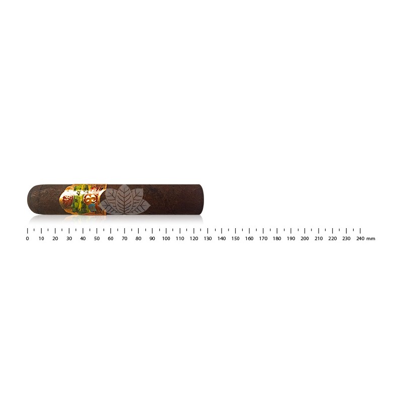 Oliva Master Blends 2006 Robusto