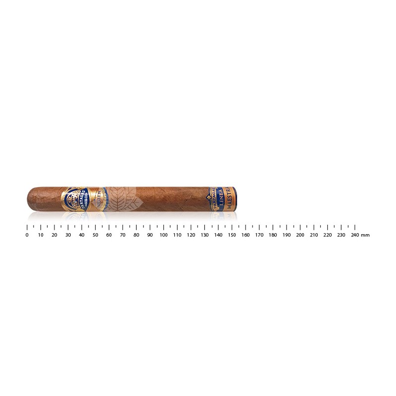 Partagas Linea Maestra Origen