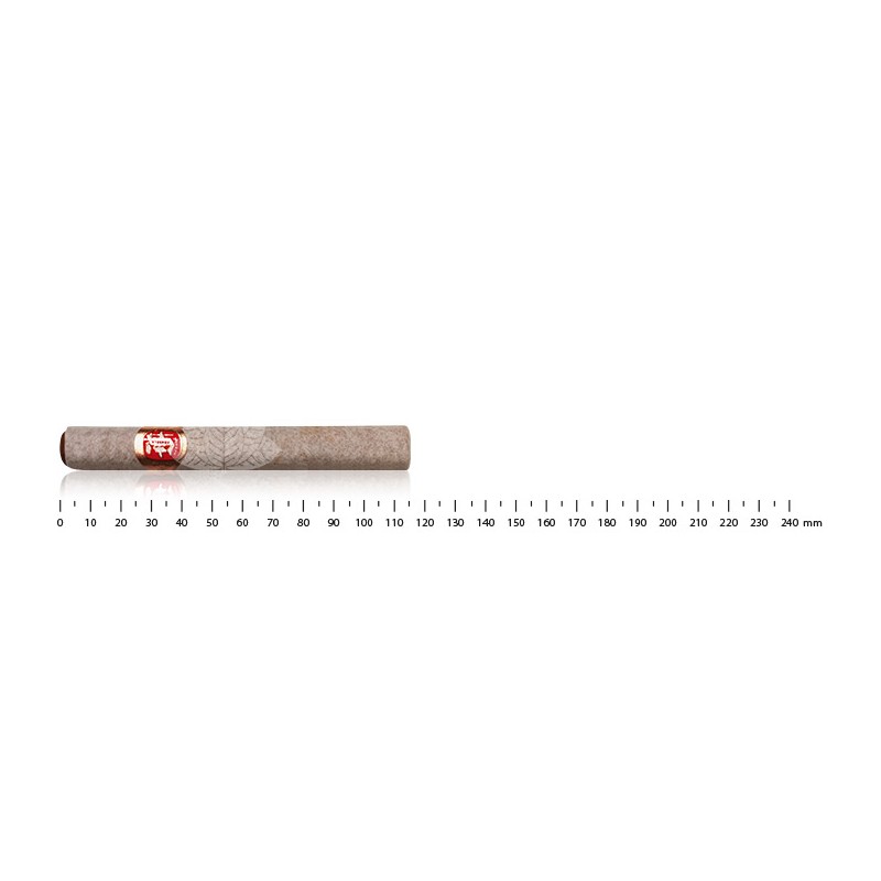 Fonseca KDT Cadetes