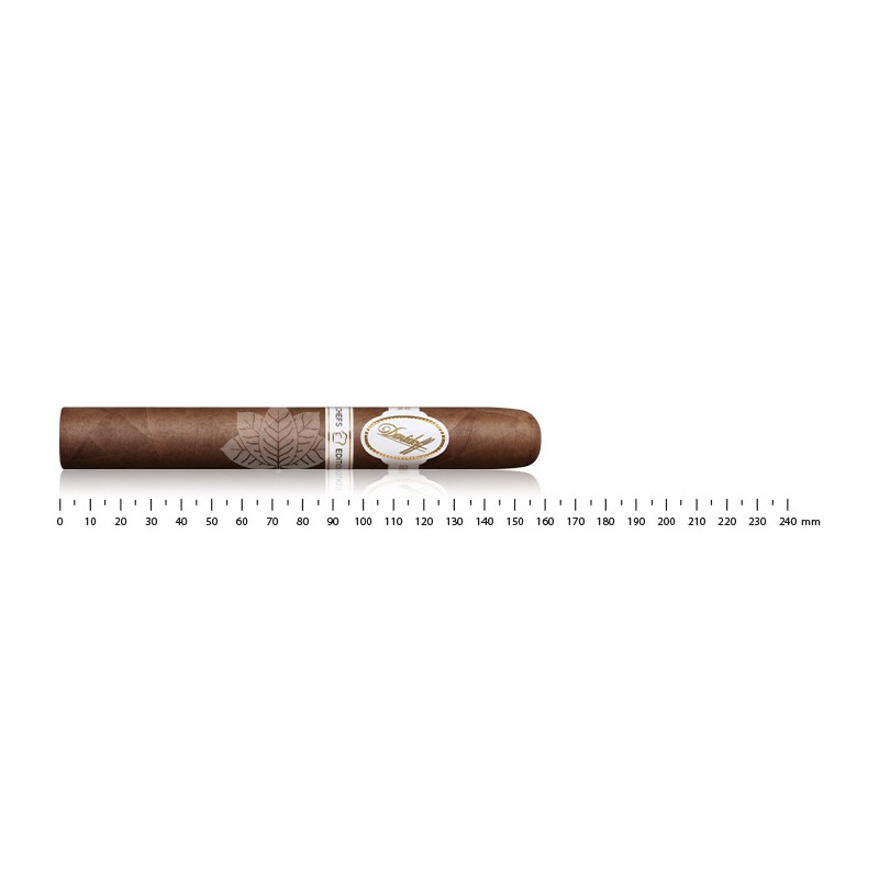 Davidoff  Chefs Edition 2025