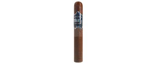 Bribon Toro