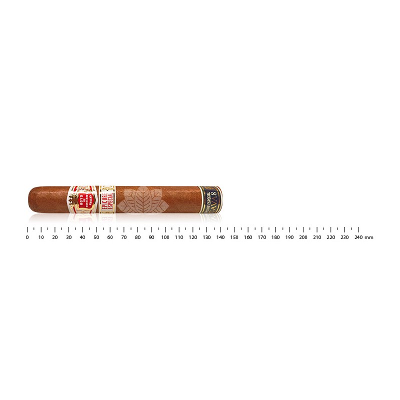 Hoyo de Monterrey Epicure Especial Cava 8