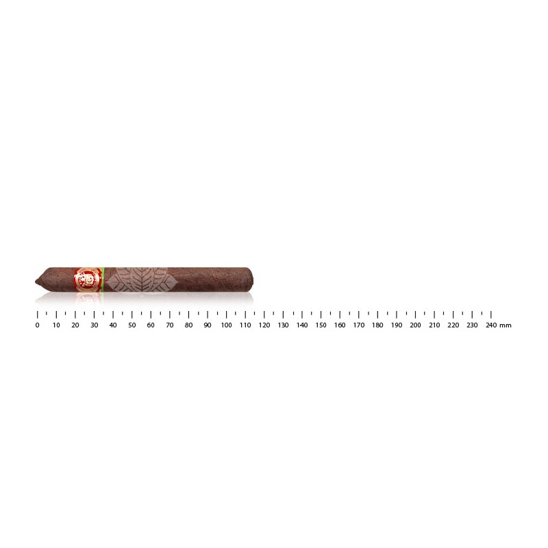 Arturo Fuente Exquisitos Maduro