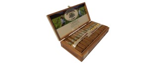 Joya de Nicaragua Clasico Consul