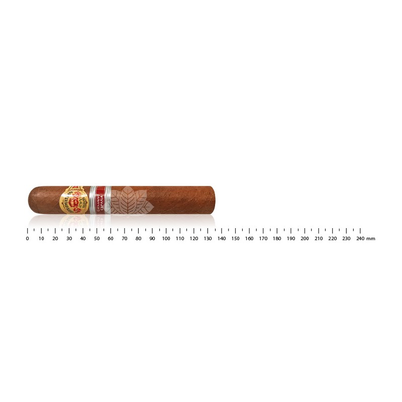 Diplomaticos Coleccion Privada II ER Espana
