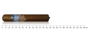 Cigars Nicaragua Gordo Discovery Pack (8 cigars)
