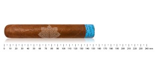 Cigars Nicaragua Gordo Discovery Pack (8 cigars)