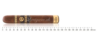 Cigars Nicaragua Gordo Discovery Pack (8 cigars)