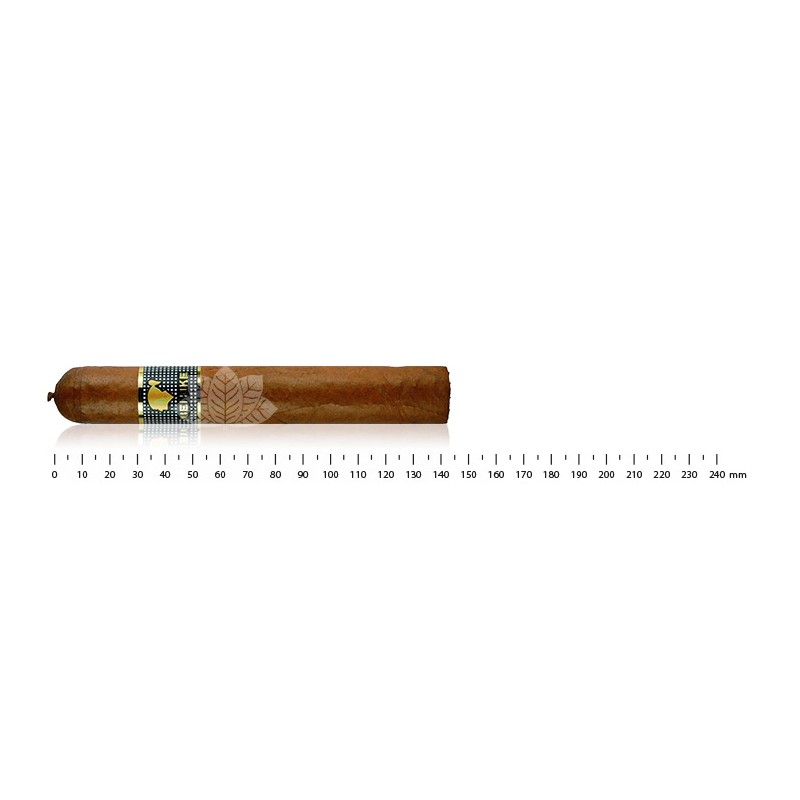 Cohiba Behike 54