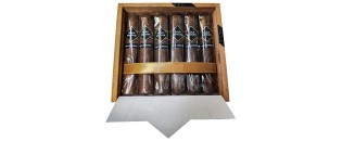 Gold Edition Petit Robusto