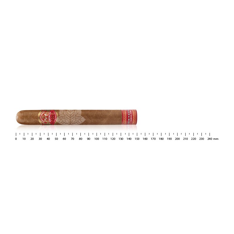 Partagas Royales