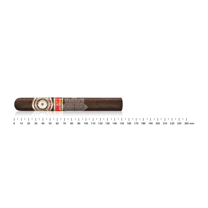 Perdomo 20th Anniversary Maduro Epicure