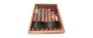 Bribon Sampler