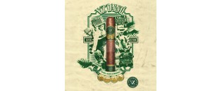 Villa Zamorano Danlí Robusto