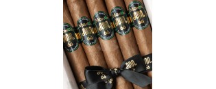 Don Misima 66 - Maria Robusto Extra