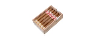 Hoyo de Monterrey – Le Hoyo de San Luis
