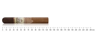 Joya de Nicaragua Seleccion Robusto