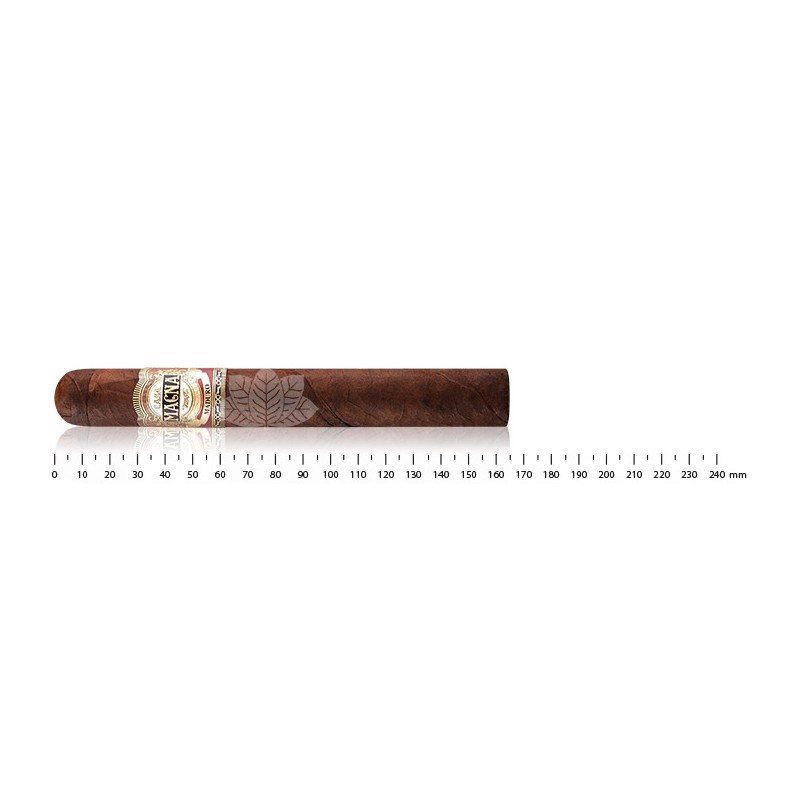 Casa Magna Maduro Toro
