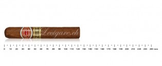 Romeo y Julieta Short Churchill