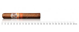 Avo Syncro Fogata Robusto (20)