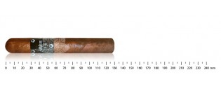 Asylum 13 Robusto