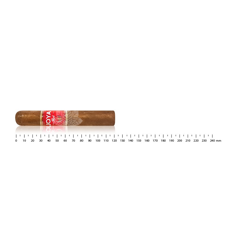 Joya de Nicaragua RED Short Churchill