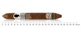 Gilbert de Montsalvat 20 Anniversary Salomones