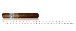 Nicaragua Robusto cigars Discovery Pack