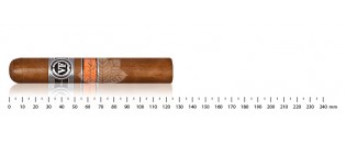 Nicaragua Robusto cigars...