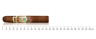Honduran cigars Robusto Discovery Pack