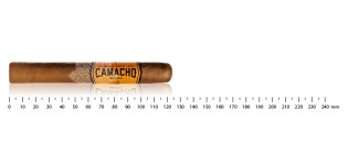 Honduran cigars Robusto Discovery Pack