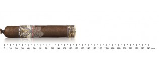 Balmoral Anejo XO Petit Robusto