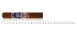 Chateau Diadem Conviction Double Robusto