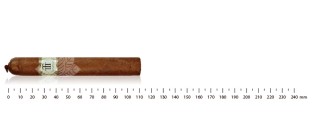 Cuban cigars Discovery Pack