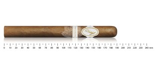 Davidoff Aniversario Double R