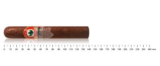 Joya de Nicaragua Antaño Shut the Box Robusto Grande