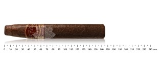 La Flor Dominicana Capitulo II