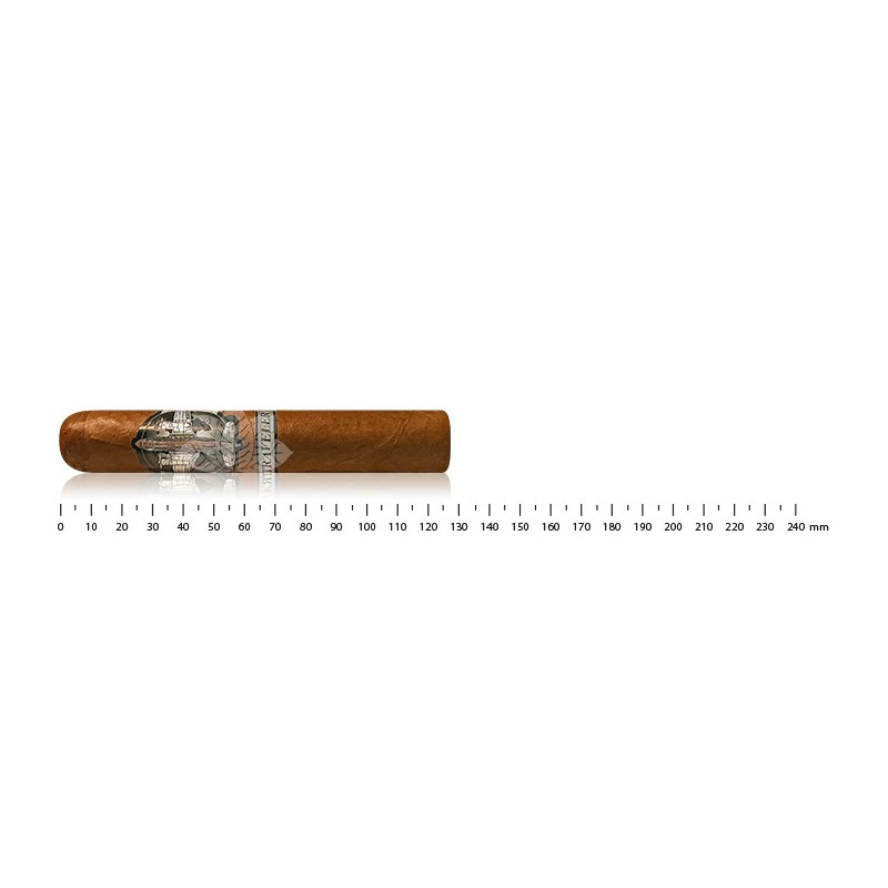 The Traveler First Class Robusto