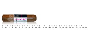 Signature by Lecigare Batch 22 - Short Robusto