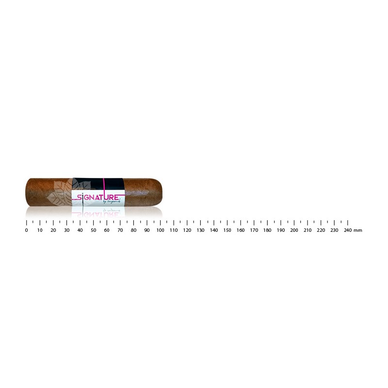 Signature by Lecigare Batch 22 - Short Robusto