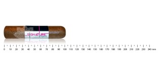 Signature by Lecigare - Short Robusto