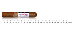 Signature by Lecigare - Robusto