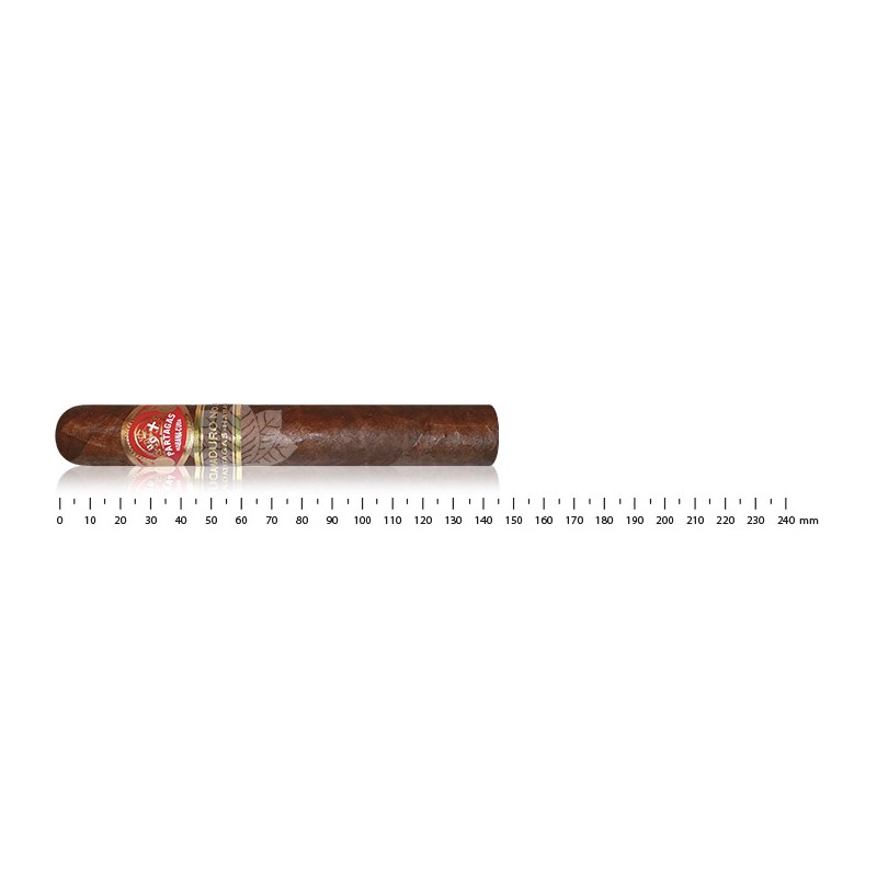 Partagas maduro No.3