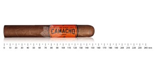 Camacho Nicaragua Toro