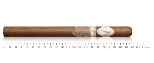 Davidoff Aniversario No.1 LTD 2023