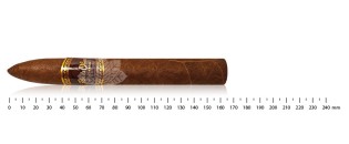 Flor de Oliva Torpedo