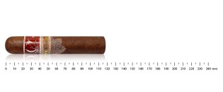 CVJ Robusto F