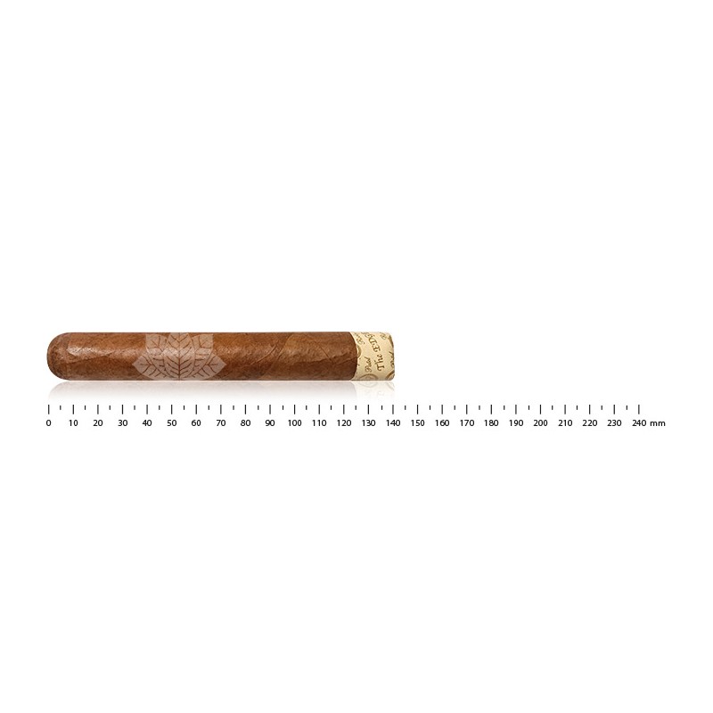 Rocky Patel Edge Corojo Robusto