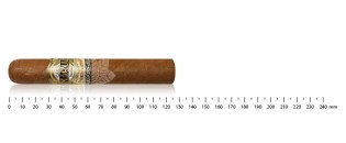 Casa Magna Connecticut Robusto